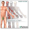 https://www.henryford.com/myhealth/adamdisplay_bguide.cfm
